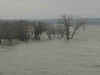 flood20.jpg (12923 bytes)
