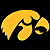 iowatigerhawk.gif (503 bytes)